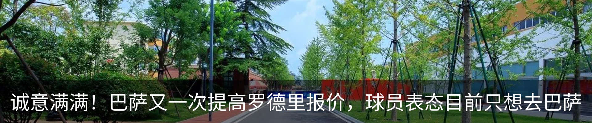 新闻动态