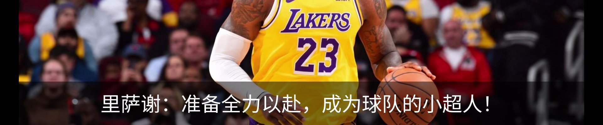 新闻动态